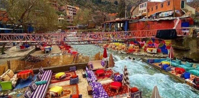 WhatsApp Image 2024-08-02 at 17.51.33 (2)