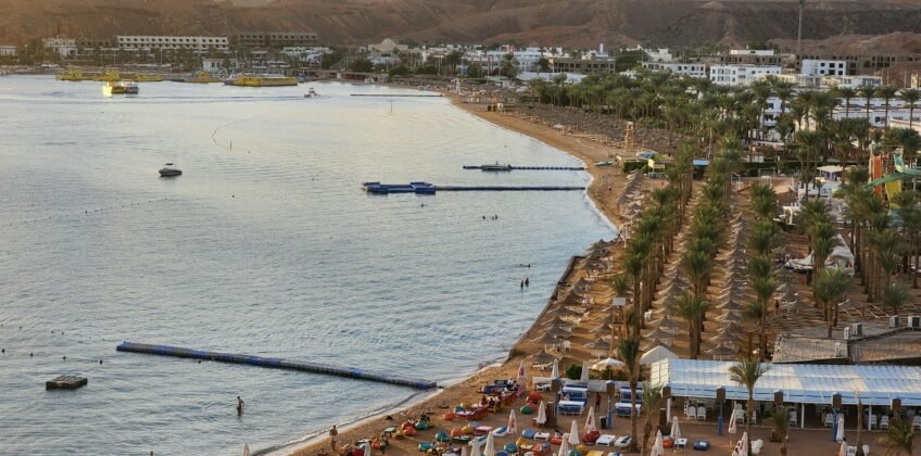 mohamed-elnaggar-th__BHn4Bu0-unsplash