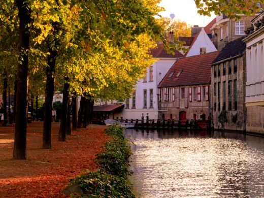 peter-boccia-NZULuaSJQQU-unsplash