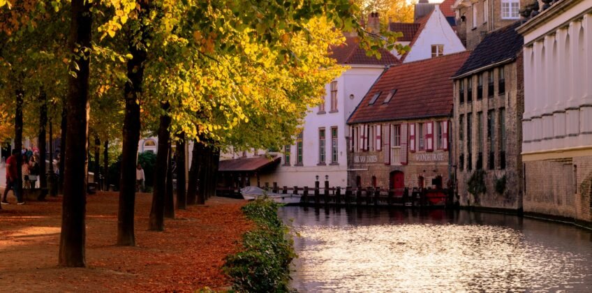 peter-boccia-NZULuaSJQQU-unsplash